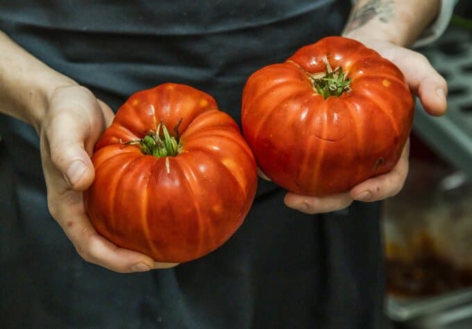 Tomates anciennes de saison, entre les mains d’un cuisinier